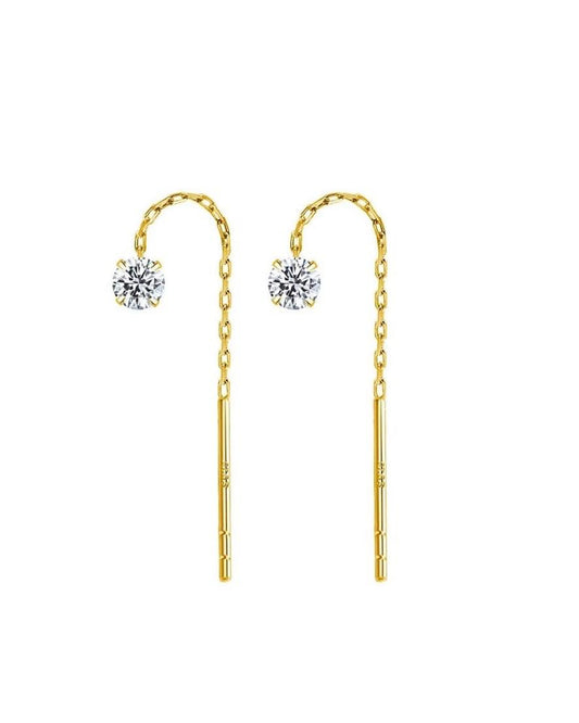 Drop Style Stainless Steel Earrings